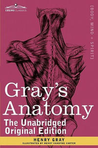 Gray's Anatomy - 2866530589