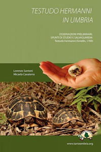 Testudo Hermanni in Umbria - 2867137497