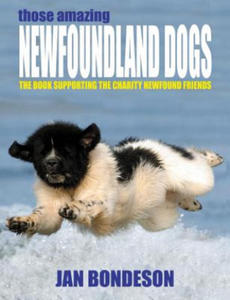 Those Amazing Newfoundland Dogs - 2877493946