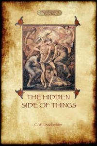 Hidden Side of Things - Vols. I & II - 2867120719