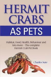 Hermit Crab Care - 2867123302