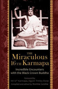 Miraculous 16th Karmapa - 2866648586