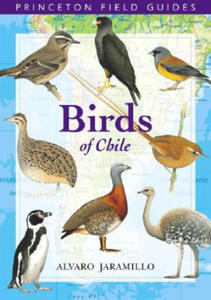Birds of Chile - 2878440876