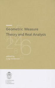 Geometric Measure Theory and Real Analysis - 2878082311