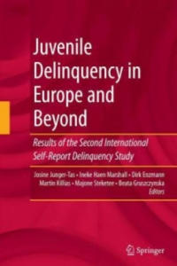Juvenile Delinquency in Europe and Beyond - 2877621945
