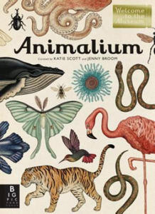 Animalium - 2862794521