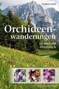 Orchideenwanderungen in sterreich - 2840794176