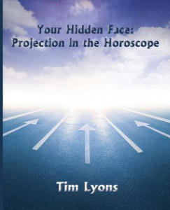 Your Hidden Face - 2867131021