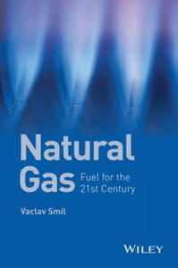 Natural Gas - Fuel for the 21st Century - 2826867666