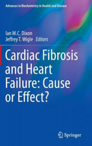 Cardiac Fibrosis and Heart Failure: Cause or Effect? - 2865250869