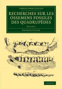Recherches sur les ossemens fossiles des quadrupedes - 2867108840