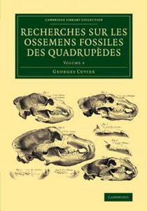 Recherches sur les ossemens fossiles des quadrupedes - 2867108839