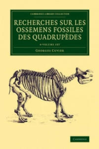 Recherches sur les ossemens fossiles des quadrupedes 4 Volume Set - 2877177484