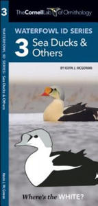 Cornell Lab of Ornithology Waterfowl ID 3 Sea Ducks & Others - 2878796384