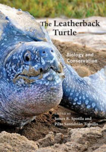 Leatherback Turtle - 2878789121