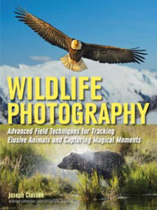 Wildlife Photography - 2874001974