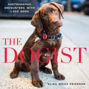 Elias Weiss Friedman - Dogist - 2826803890