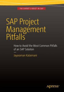 SAP Project Management Pitfalls - 2867129530