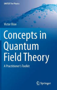 Concepts in Quantum Field Theory - 2875799146