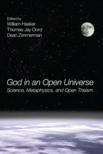 God in an Open Universe - 2877966085