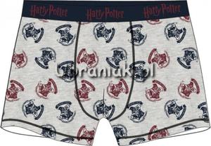 Bokserki Harry Potter szare - 2861448725