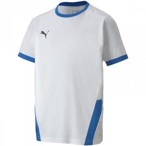 Koszulka dla dzieci Puma teamGOAL 23 Jersey biao-niebieska 704160 12 - 2878230158