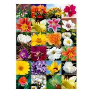 Naklejki HERMA Decor 3077 kwiaty x1 - 2824963532