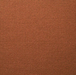 Ingres A4 90g ruggine x10 - 2824968052