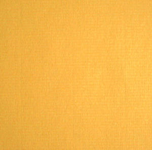 Ingres A4 90g giallo oro x10