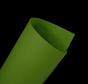 Tiziano A4 160g pistacchio x10 - 2843439569