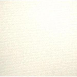 Ingres A4 160g bianco x45 - 2860490950