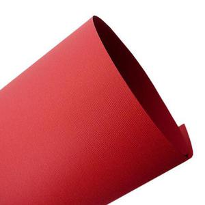 Nettuno A4 100g rosso fuoco x45 - 2860491557