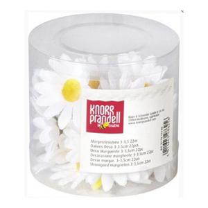 Kwiatki dekoracyjne Knorr Margeretki białe x22 - 2860491971