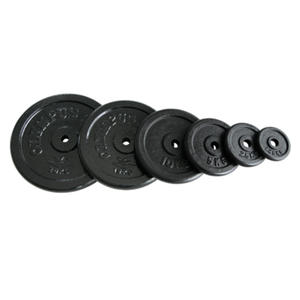 Obcienie eliwne pene 1,25 kg / 29 mm - Platinum Fitness - 2823551966