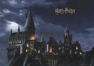 Fototapeta Harry Potter 252x182cm - 2874488417