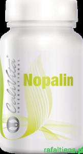 Nopalin 200 tab CaliVita wspomaga trawienie Nopal jadalny kaktus - 2844081955