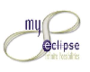 My Eclipse Professional Edition - Annual Membership - 2824378864