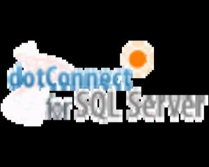 dotConnect for SQL Server Professional Edition Single - 2824379169