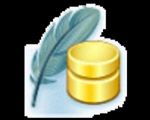 SQLite Maestro Single Non-commercial License - 2824379301