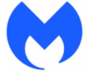 Malwarebytes Endpoint Protection 12 Months - 2860124420