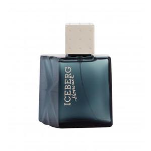 Iceberg Homme woda toaletowa 100 ml dla mczyzn - 2876055276