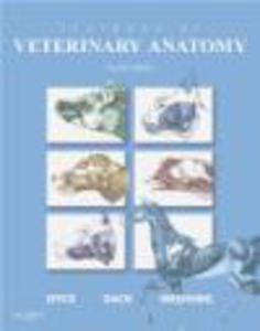Textbook of Veterinary Anatomy 4e - 2822223652