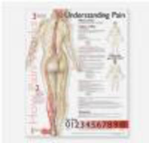 Understanding Pain Anatomical Chart - 2822223738