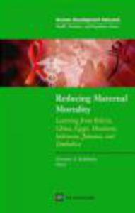 Reducing Maternal Mortality Learning from Bolivia China Egyp - 2822223947