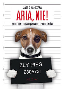 Aria, nie! Skuteczne rozwizywanie problemw - 2822224327