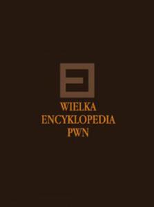 Wielka encyklopedia PWN. T. 30 Wonicko-Wieluska Wyyna-yznowski - 2822224371