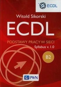 ECDL B2 Podstawy pracy w sieci - 2822231603