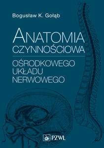 Anatomia czynnociowa orodkowego ukadu nerwowego