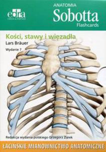 Anatomia Sobotta Flashcards Koci stawy i wizada aciskie mianownictwo anatomiczne - 2848938315