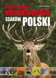 Ilustrowana encyklopedia ssakw Polski - 2848938473